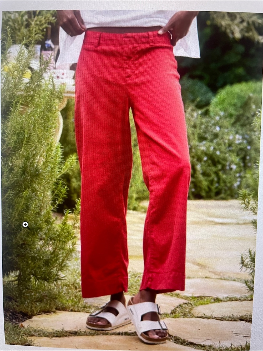 Frank & Eileen red linen Wexford pant sz 8